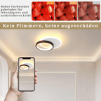 Homefire Deckenlampe LED Deckenleuchte Wohnzimmer - 12W Küchenlampe 3000K Warmweiß Schlafzimmerlampe Modern Design Flurlampe Decke Wohnzimmerlampe Schwarz Rund für Küche Schlafzimmer Flur Ø24.5cm [Energieklasse G] - Homefire