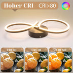 Homefire Deckenlampe LED Deckenleuchte Wohnzimmer - 24W Wohnzimmerlampe Modern Kreative Design Schwarz Küchenlampe 3000K Warmweiß Schlafzimmerlampe Flur Metall Deckenleuchten für Küche Büro [Energieklasse F] - Homefire