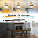 Homefire Deckenventilator Mit Beleuchtung und Fernbedienung - 23W LED Dimmbar Deckenleuchte mit Ventilator Leise 70CM Ventilator mit Licht Sommer/Winter 6-Gang Timer für Schlafzimmer Kinderzimmer Büro [Energieklasse E] - Homefire