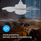 Homefire Deckenventilator Mit Beleuchtung und Fernbedienung Leise - Deckenlampe Wohnzimmer 6 Flügeln Ø75 cm Ventilator Timing Deckenleuchte Fan Sommer-/Winter für Schlafzimmer Küche - Ohne Glühbirne - Homefire