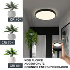 Homefire LED Deckenleuchte Deckenlampe Schwarz - Küchenlampe Flach Rund Ø21cm Flurlampe 12W 3000K Badlampe IP44 Wasserfest für Wohnzimmer Badezimmer Schlafzimmer Küche Balkon Keller Büro [Energieklasse F] - Homefire