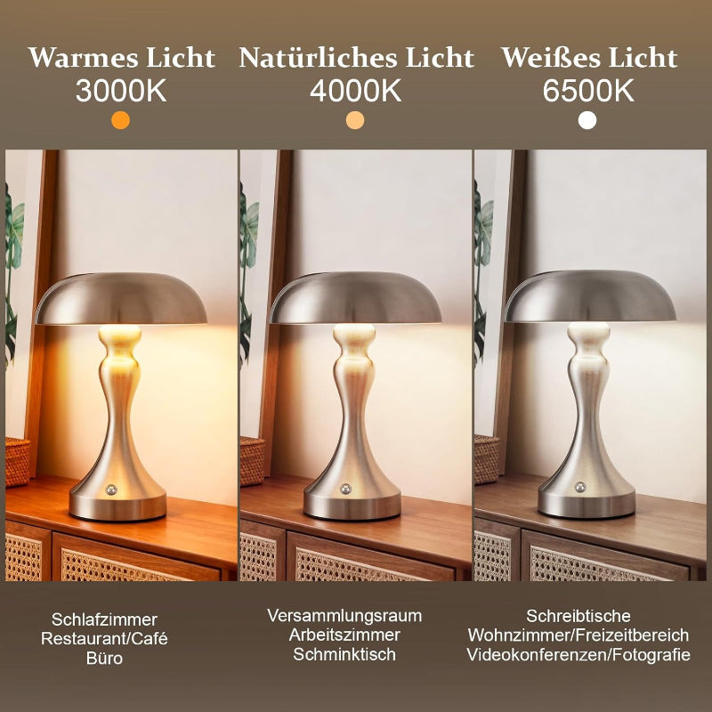 Tischlampe Kabellos Nachttischlampe Akku - LED Tischleuchte Touch Dimmbar Retro Vintage Lampe mit USB Aufladbar Nickel Batterie Tischlampen für Fensterbank Wohnzimmer Schlafzimmer - Homefire